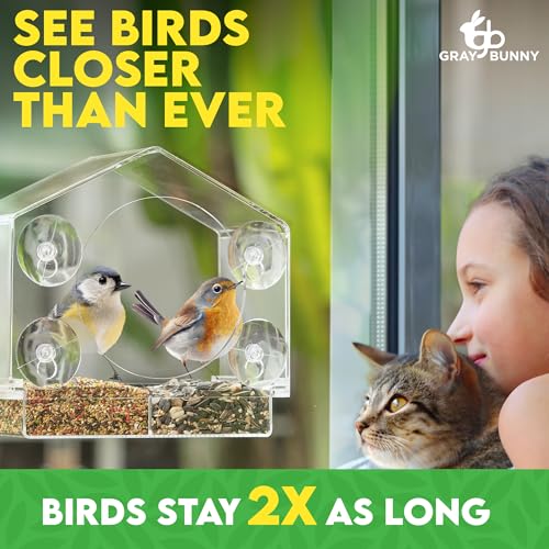 Gray Bunny Window Bird Feeder with Strong Suction Cups (Clear) Bird Feeders for Outdoors with Drain Holes, Removable Tray and Large Seed Capacity - Image 4