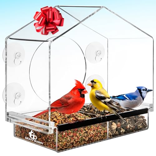 Gray Bunny Window Bird Feeder with Strong Suction Cups (Clear) Bird Feeders for Outdoors with Drain Holes, Removable Tray and Large Seed Capacity - Image 1