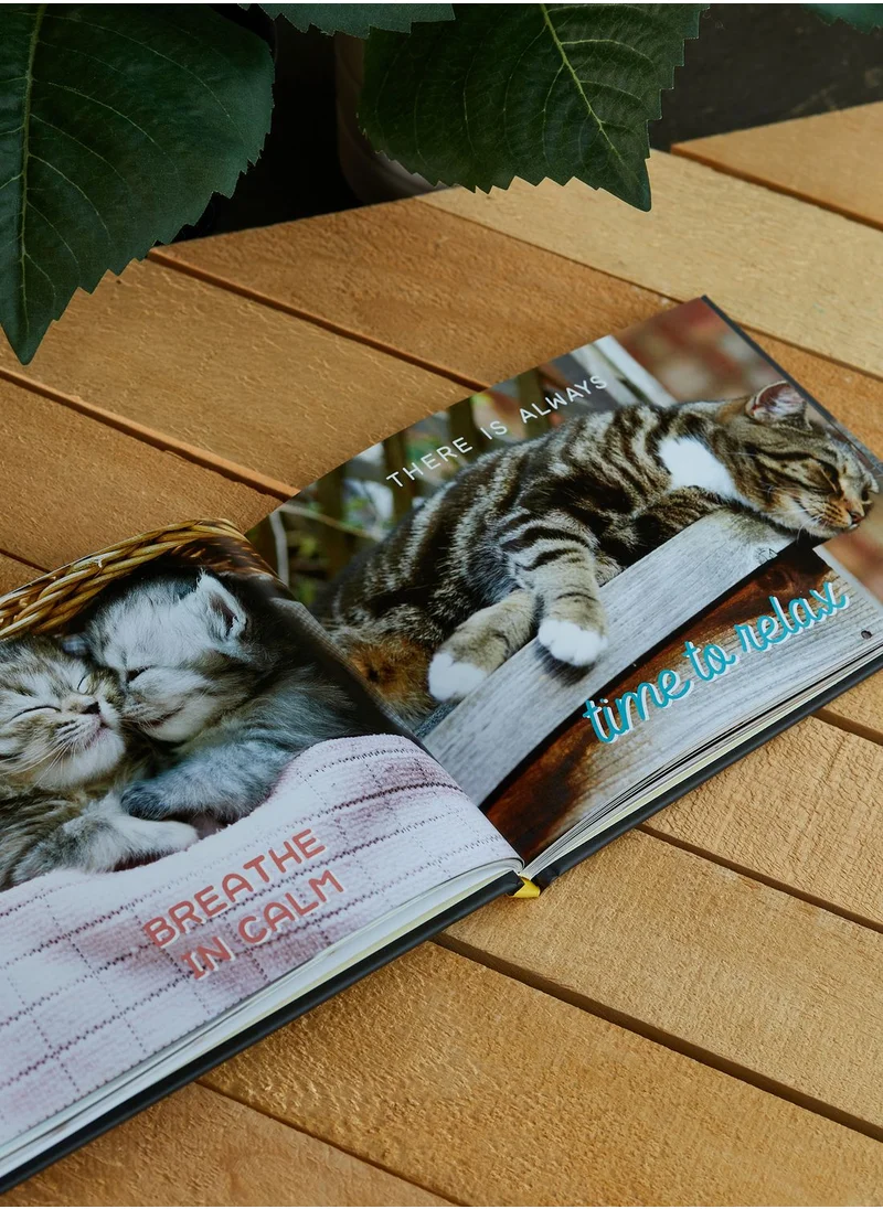 Summersdale Paws