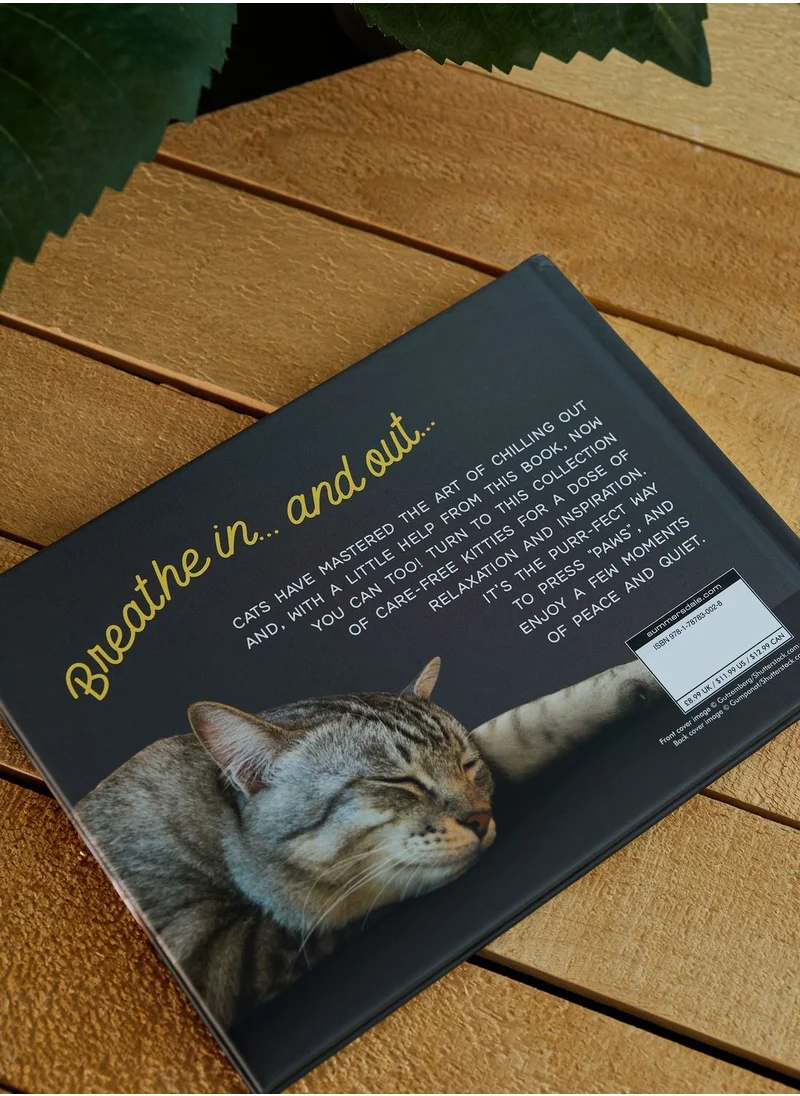 Summersdale Paws