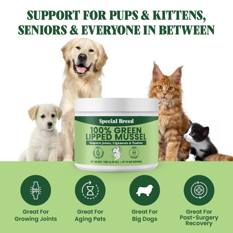 Special Breed Green Lipped Mussel Powder for Dogs & Cats - 100% New Zealand Green Lipped Mussels - Natural Hip & Joint Supplement for Joints, Tendons, Ligaments, Muscles - 150 Grams - Up to 500 Servings - Image 4