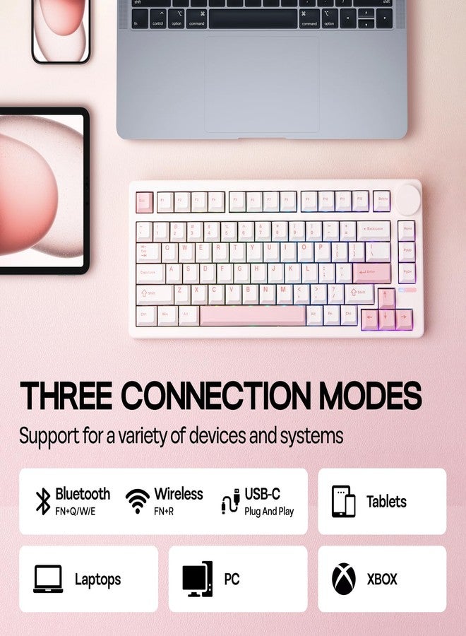 EPOMAKER لوحة مفاتيح الألعاب الميكانيكية اللاسلكية EPOMAKER QK81 بنسبة 75%، قابلة للبرمجة QMK/VIA وقابلة للتبديل الساخن، 81 مفتاح مع مقبض معدني، 2.4Ghz/BT/USB، تركيب حشوة كريمي، إضاءة خلفية RGB (أبيض، مفتاح ويستيريا) - Image 3