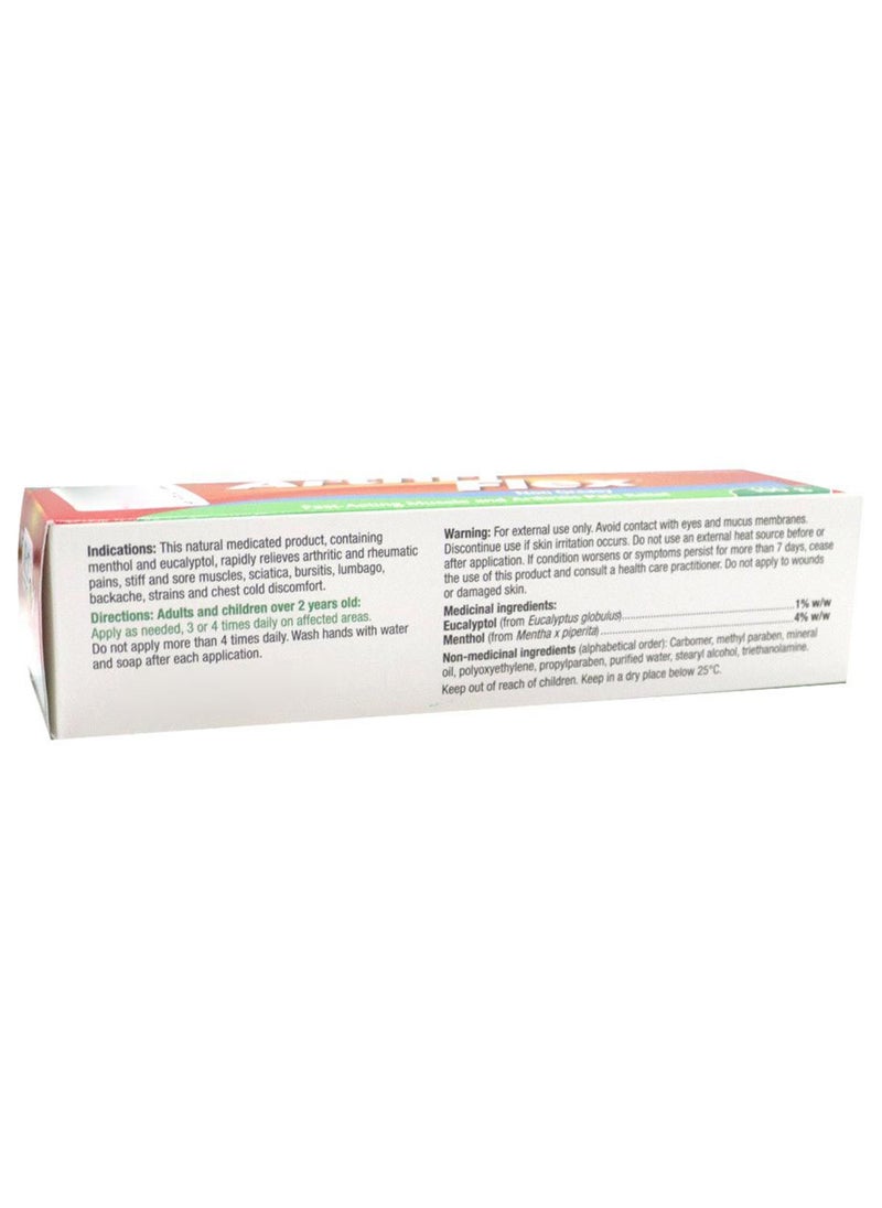 Arthri Flex Cream 100 g - pzsku/ZB0FBC07CB811F01C6D05Z/45/_/1717140270/4c69bcd1-162f-4a40-9eba-11c79079ff2a