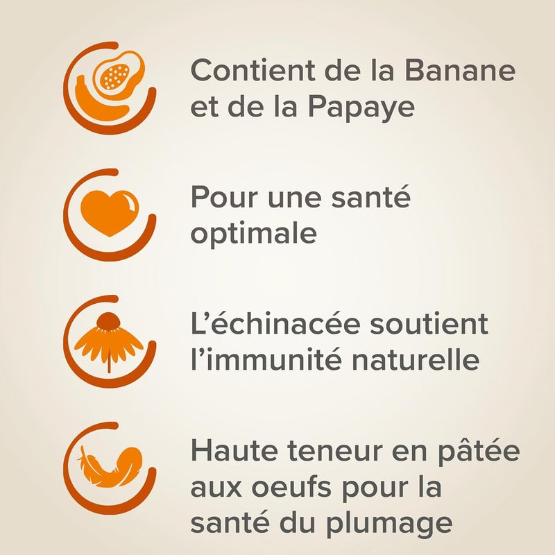 Beaphar XtraVital Parrot Complete Bird Food - 1KG - Image 4