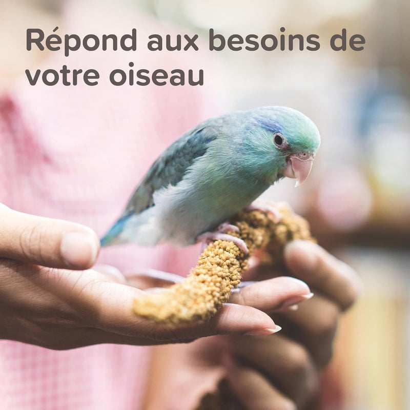 Beaphar XtraVital Parrot Complete Bird Food - 1KG - Image 5