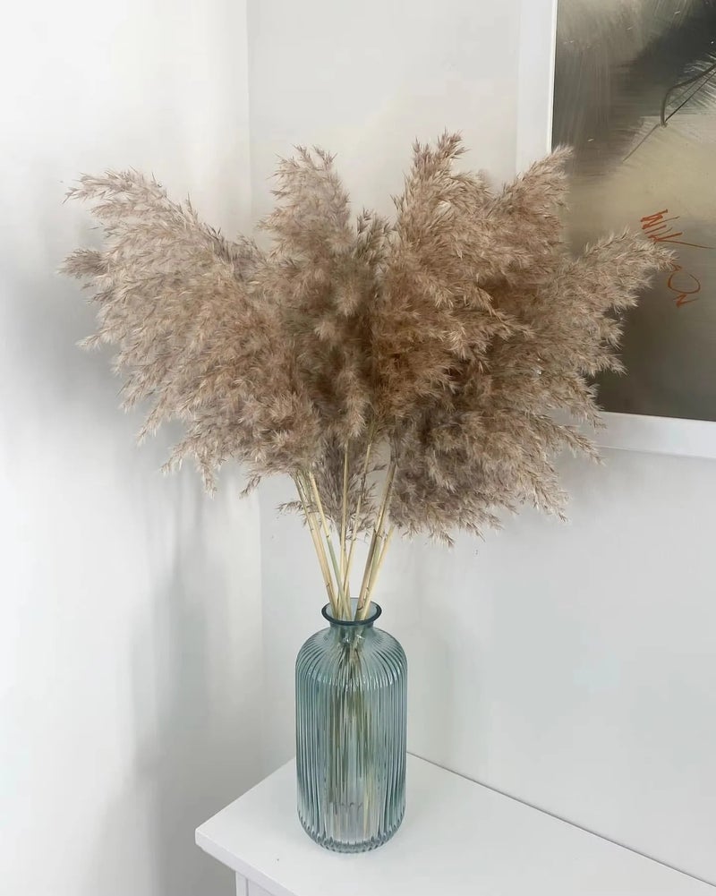 Bluejw Premium Dried Pampas Grass Reed Decor - Natural Tall Fluffy Plumes - Perfect for Home, Wedding & Boho Decorations - High Quality Dried Plants Supply - Image 5