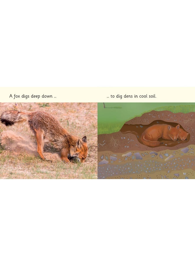 Under my Feet: Phase 3 Set 1 - Image 3