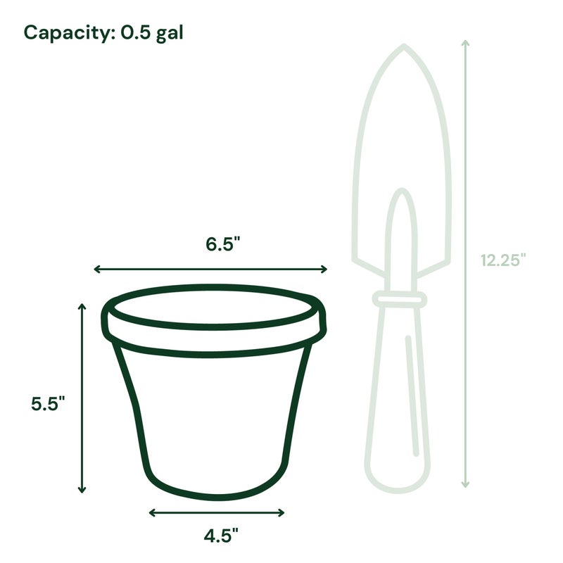 Bloem Terra 6" Diameter Round Terra Cotta Resin Planter Pot with Drainage Holes for Indoor and Outdoor Gardening - Image 3