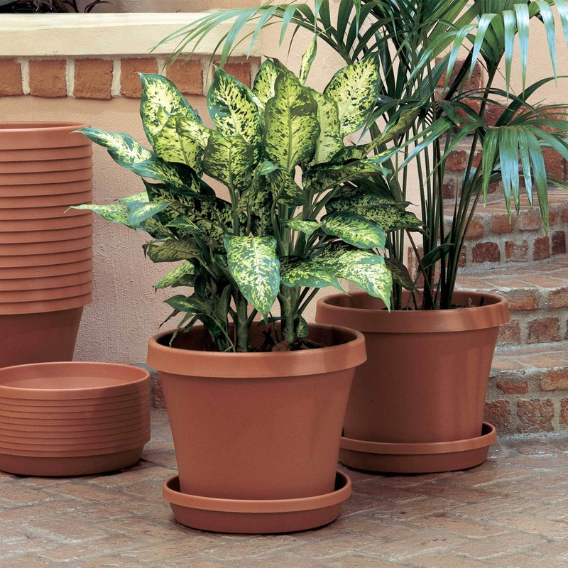 Bloem Terra 6" Diameter Round Terra Cotta Resin Planter Pot with Drainage Holes for Indoor and Outdoor Gardening - Image 2