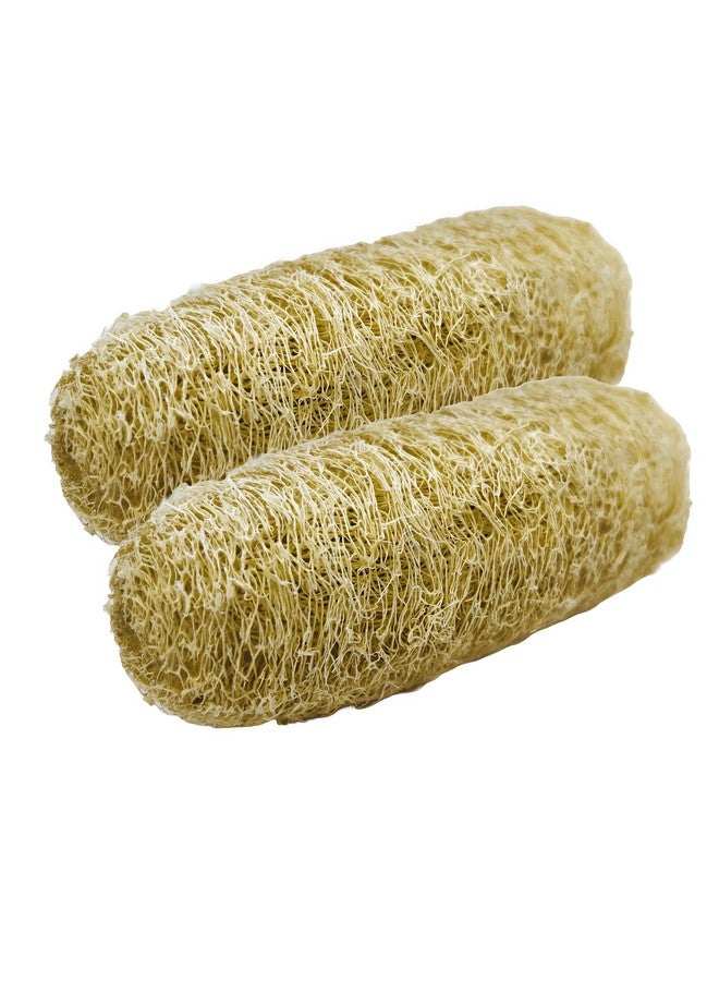 Natural Shower Luffa Sponge Body Scrubber | Luffa (Peerkangai) Bath scrub is Body Cleansing Removing Dead Skin Cells - Skin Care in Bath Spa Shower By SNKM (Pack of 2) - Image 1