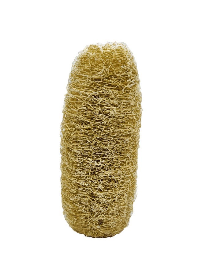 Natural Shower Luffa Sponge Body Scrubber | Luffa (Peerkangai) Bath scrub is Body Cleansing Removing Dead Skin Cells - Skin Care in Bath Spa Shower By SNKM (Pack of 2) - Image 4