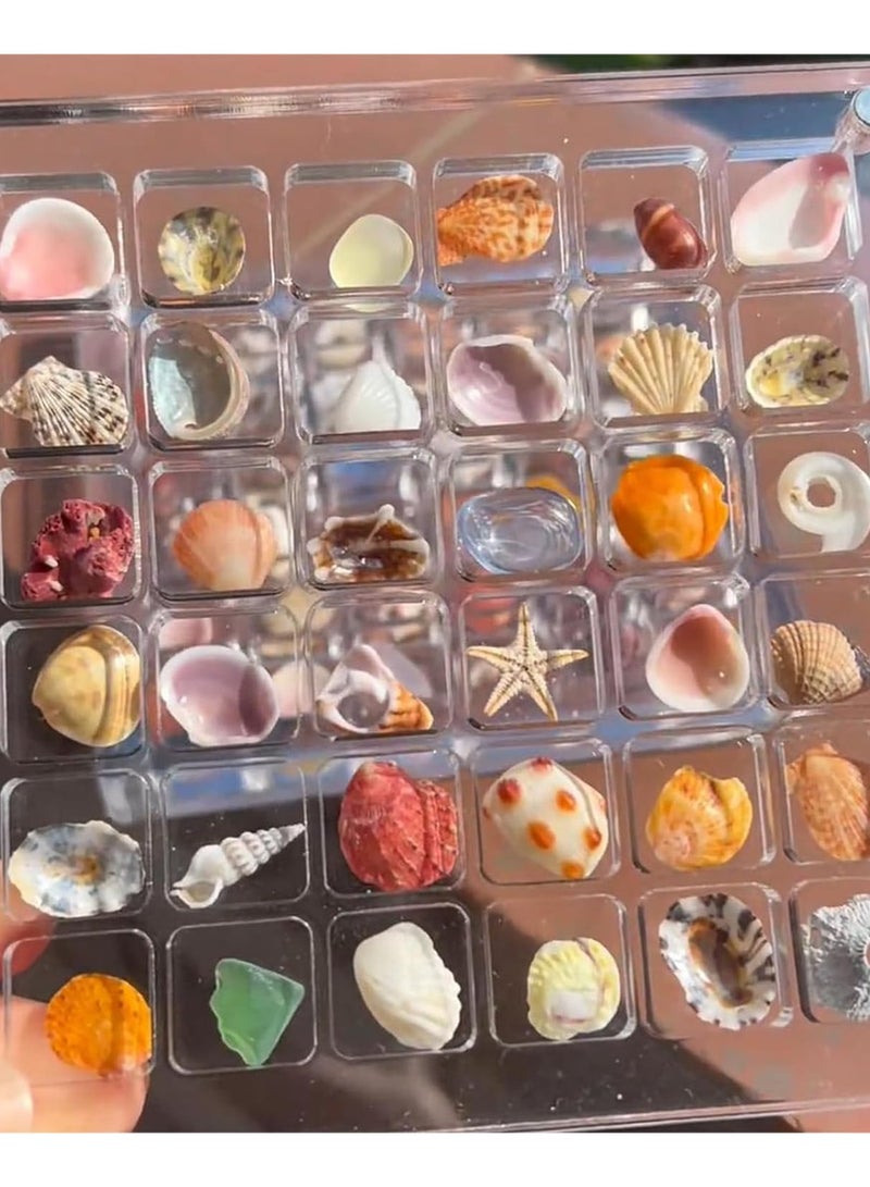 JiFENG Shell Mini Grid Plastic Storage Box  36 Grids - Image 2