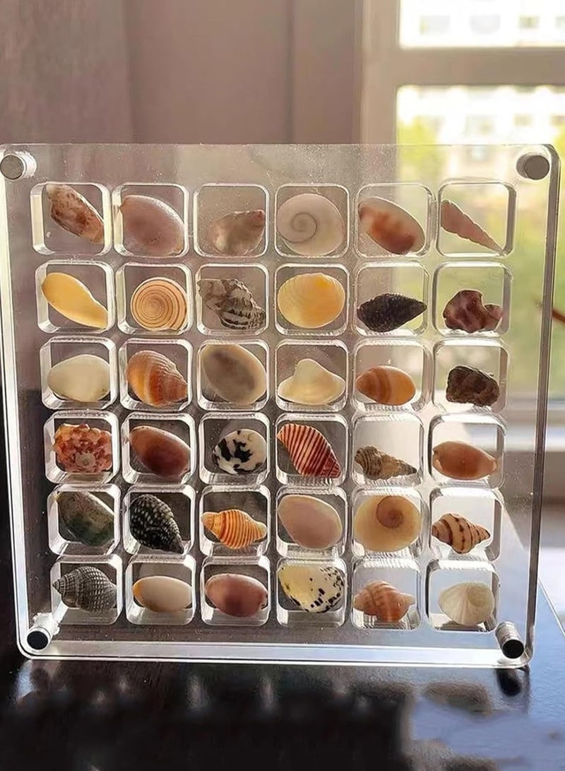JiFENG Shell Mini Grid Plastic Storage Box  36 Grids - Image 5