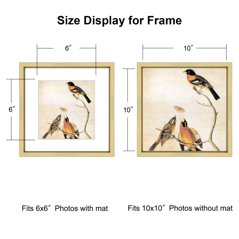 BKABOT 10x10 Picture Frame, Brass Metal Square Photo Frames with HD Glass, Fits 6x6 with Mat or 10 x 10 without Mat, Display for Wall and Table, 1 Pack - Image 2