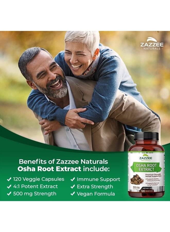 Zazzee OSHA Root Extract 120 Vegan Capsules, 500 mg Strength, Potent 4:1 Extract, Ligusticum porteri, Non-GMO and All-Natural - Image 3