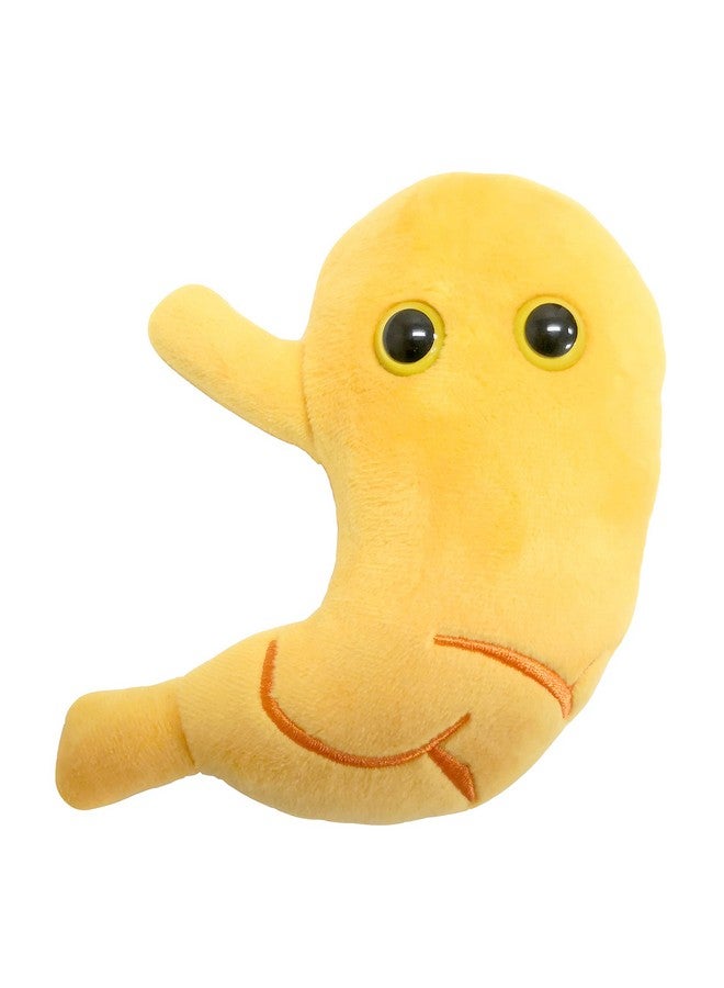 Giant Microbes GIANTmicrobes Stomach Plush, Gastric Bypass Must Haves, Bariatric Surgery Must Haves, Gastroenterology Gifts, Surgeon Gift, Acid Reflux, Dietitian Gifts, Stomach Cancer Awareness, IBS Warrior - Image 1