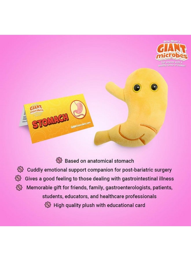 Giant Microbes GIANTmicrobes Stomach Plush, Gastric Bypass Must Haves, Bariatric Surgery Must Haves, Gastroenterology Gifts, Surgeon Gift, Acid Reflux, Dietitian Gifts, Stomach Cancer Awareness, IBS Warrior - Image 3