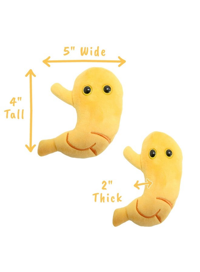 Giant Microbes GIANTmicrobes Stomach Plush, Gastric Bypass Must Haves, Bariatric Surgery Must Haves, Gastroenterology Gifts, Surgeon Gift, Acid Reflux, Dietitian Gifts, Stomach Cancer Awareness, IBS Warrior - Image 4