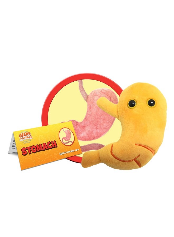 Giant Microbes GIANTmicrobes Stomach Plush, Gastric Bypass Must Haves, Bariatric Surgery Must Haves, Gastroenterology Gifts, Surgeon Gift, Acid Reflux, Dietitian Gifts, Stomach Cancer Awareness, IBS Warrior - Image 2