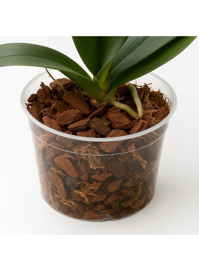 WALMOH 100% Natural Wooden Soil Topper – Premium Wood Chip Mulch for Moisture Retention, Weed Suppression, Soil Insulation & Garden Health, Ideal for Plants, Raised Beds & Flower Beds, 1 KG - Image 4