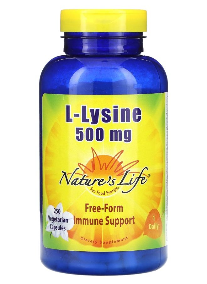 Nature's Life LLysine 500 mg 250 Vegetarian Capsules 
