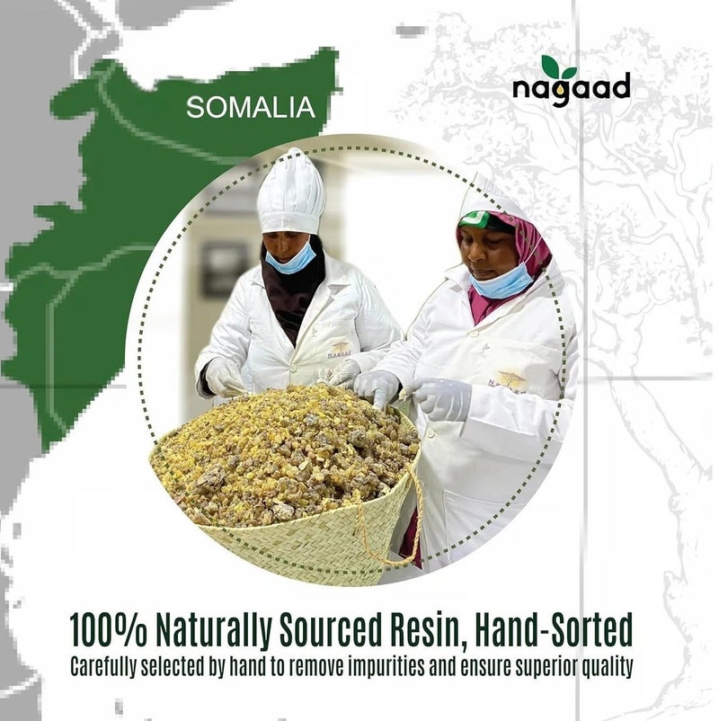 ناجاد راتنج البخور العضوي Boswellia Carterii من Nagaad - لبان عضوي معتمد من وزارة الزراعة الأمريكية بنسبة 100% - محصود بري - 113.6 جم - العلاج بالروائح والتنقية والاسترخاء العميق - Image 2