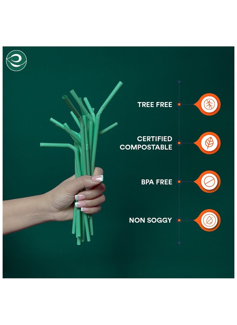 Compostable PLA Straws 6mm, 100 Pc, Bendable