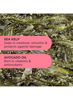 NOUGHTY Wave Hello Curl Defining Shampoo - 97% Natural, Vitamin-Rich Formula for Curly and Wavy Hair, Sulphate-Free Vegan Haircare, 250ml  - Image 3