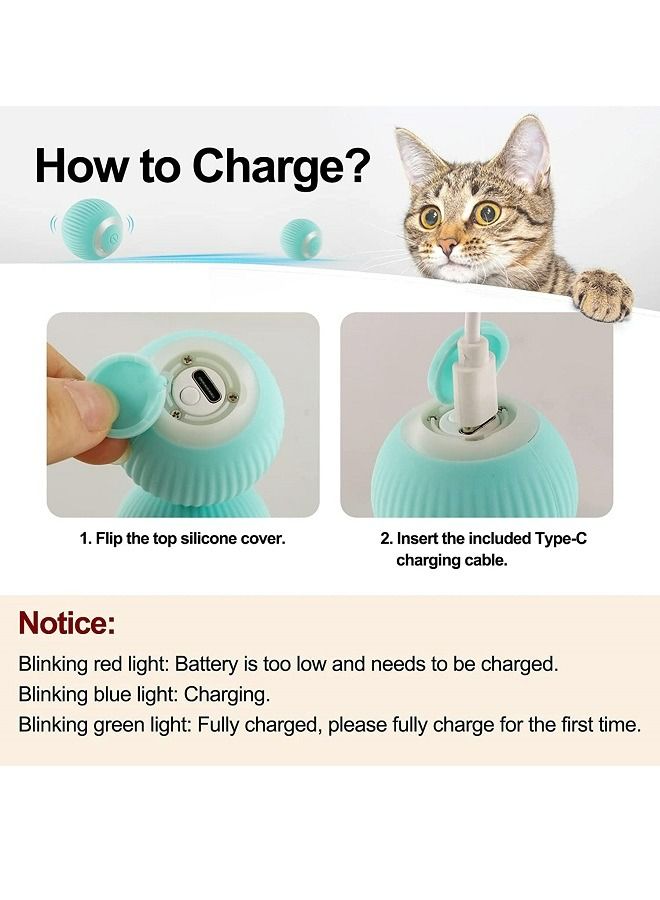 McDou Interactive Cat Ball Toy  Gravity Smart Roller Cat Ball  Cat Toys for Indoor Toys Automatic Pet Exercise Toys Electric Tumbler Cat Toys for Play Cats - Image 2