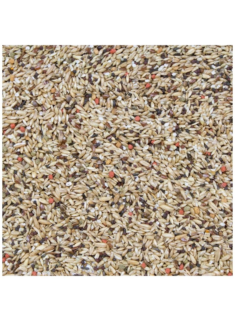 HigginS Vita Seed Canary Dry Food 2 Lb - Image 2