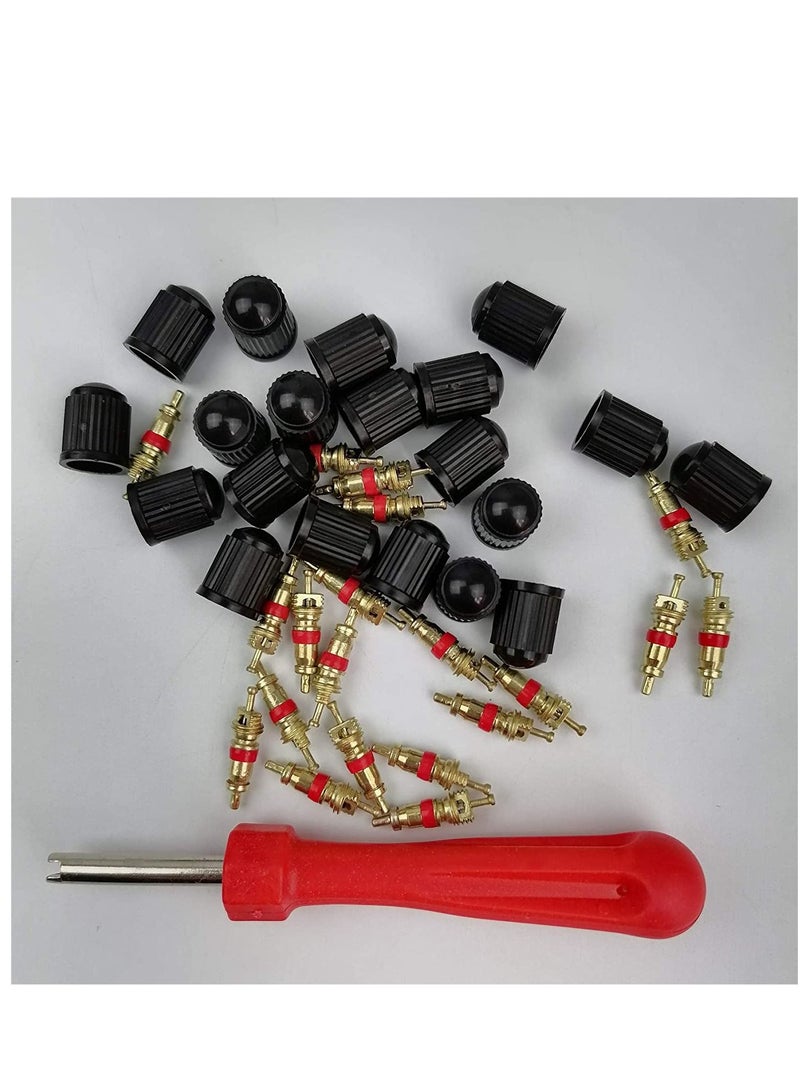 Generic QIBAOACR 40pcs Tire Valve Cores Car Bike Tire Valve Core Remover Repair Tool Valve Caps Valve Stem Cores Motorcycle Tire Valve Stem Cores Wrench - Image 2