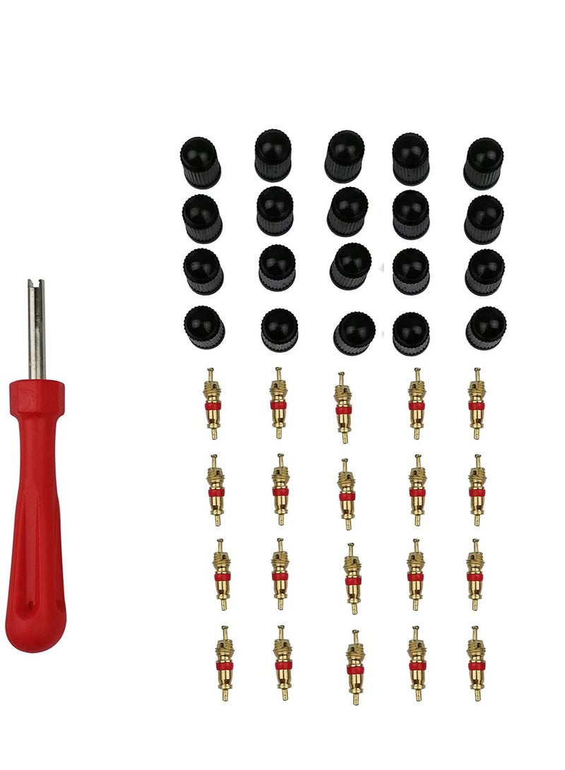Generic QIBAOACR 40pcs Tire Valve Cores Car Bike Tire Valve Core Remover Repair Tool Valve Caps Valve Stem Cores Motorcycle Tire Valve Stem Cores Wrench - Image 3