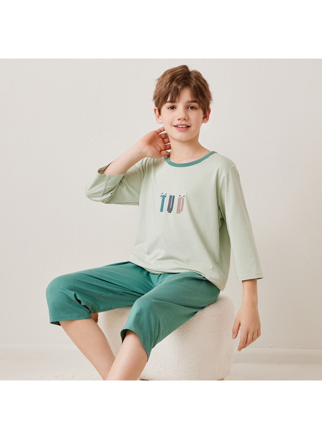 Top melon Boys' Pajamas Summer Thin Ice Silk Modal Children's Homewear Air-conditioning Suit Boys' Summer Outfit Set For Big Kids - Image 4