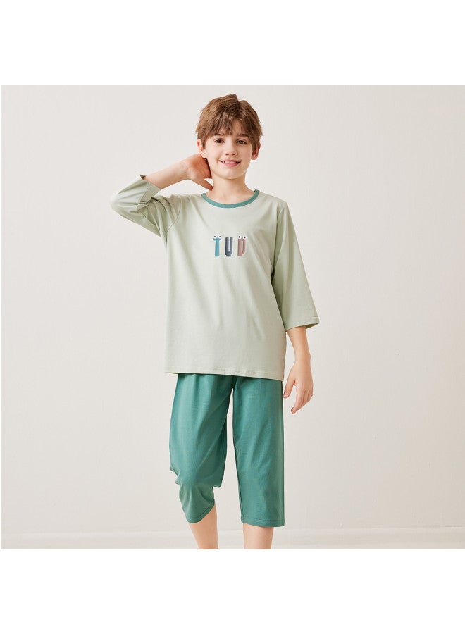 Top melon Boys' Pajamas Summer Thin Ice Silk Modal Children's Homewear Air-conditioning Suit Boys' Summer Outfit Set For Big Kids - Image 2