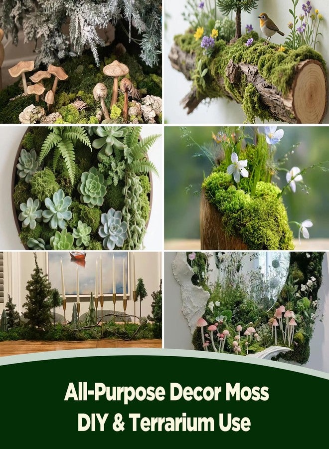 VEOOK 1.1 LBS Artificial Fake Moss,Premium Faux Moss for Fake Plants,Terrariums & Crafts,Natural Green Decorative for Potted Plants,Centerpieces, Forest Scenery,Miniature Gardens and Home Decor(FM-01) - Image 4