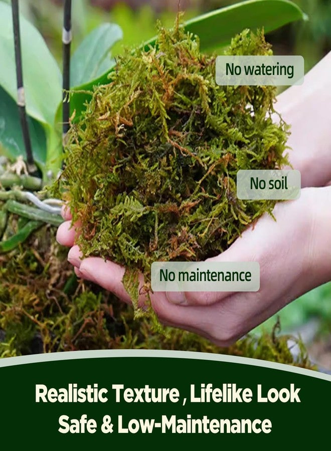 VEOOK 1.1 LBS Artificial Fake Moss,Premium Faux Moss for Fake Plants,Terrariums & Crafts,Natural Green Decorative for Potted Plants,Centerpieces, Forest Scenery,Miniature Gardens and Home Decor(FM-01) - Image 3