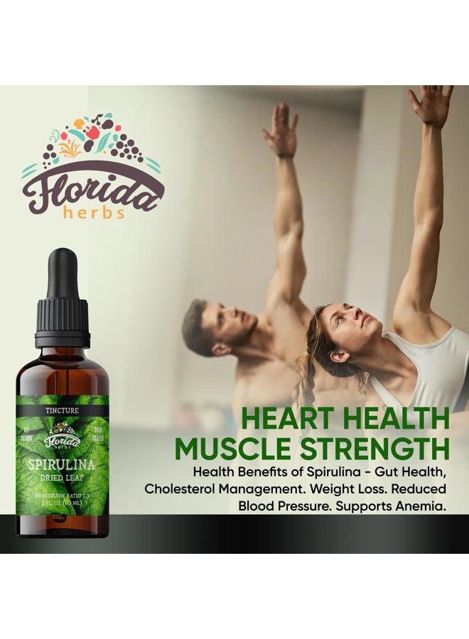 FLORIDA HERBS Spirulina Tincture, Organic Spirulina Extract (Arthrospira Platensis) Herbal Supplement, Non-GMO in Cold-Pressed Organic Vegetable Glycerin, 700 mg, 2 oz (60 ml) - Image 2