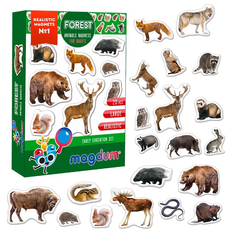 MAGDUM Fridge Magnets for Toddlers Forest Animal Magnets - 20 Kids Magnets Fridge Magnets for Kids Refrigerator Magnets for Kids Baby Magnets Magnetic Toys Toddler Toys Baby Toys Toddler Learning Toys - Image 1