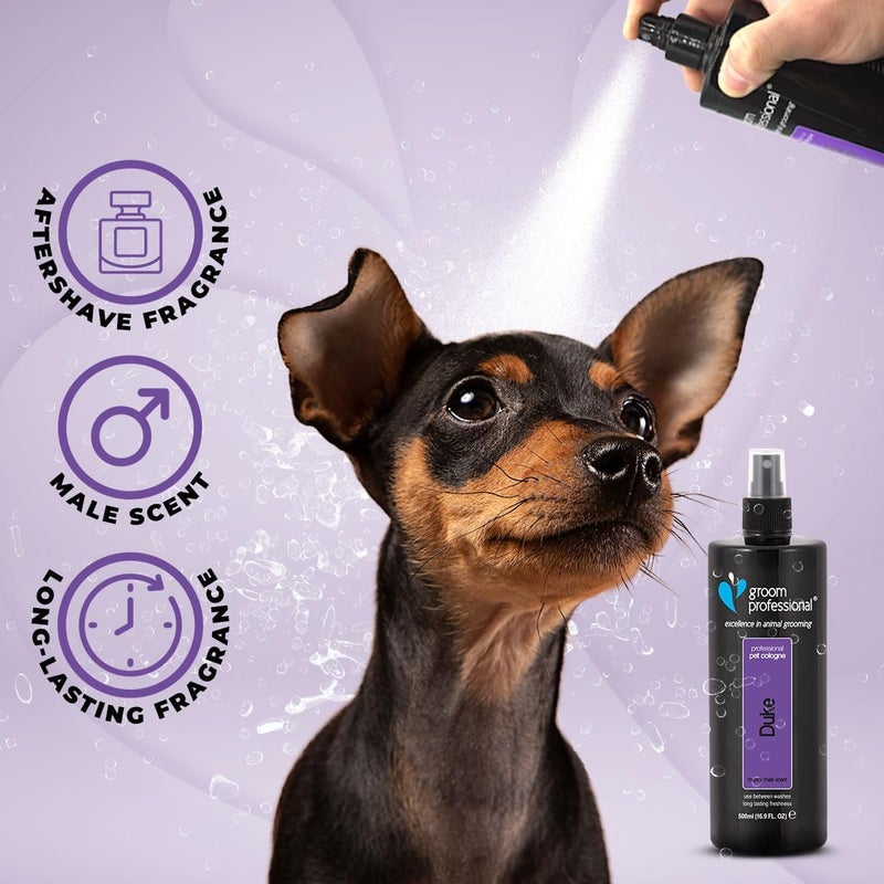 Groom Professional Duke Pet Cologne - Musk Scent, 500ml - Image 3