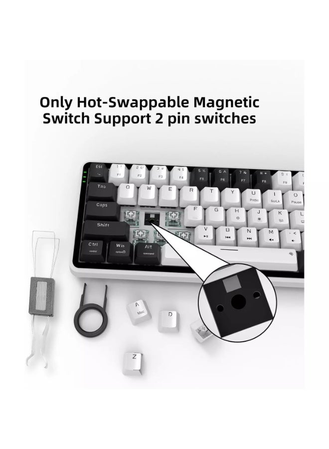 Linkerfoo LF67R1 Wired Magnetic Gaming Keyboard – 65% Layout, Outemu Magnetic Hall Effect Switches, 8000Hz Polling, Rapid Trigger, RGB Backlit, Hot-Swappable, QMK/VIA, Volume Knob, USB-C (White Black) - Image 4