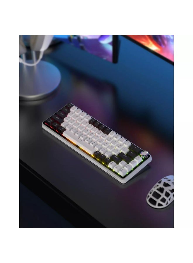 Linkerfoo LF67R1 Wired Magnetic Gaming Keyboard – 65% Layout, Outemu Magnetic Hall Effect Switches, 8000Hz Polling, Rapid Trigger, RGB Backlit, Hot-Swappable, QMK/VIA, Volume Knob, USB-C (White Black) - Image 2