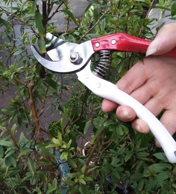 BarkoFix Pruning Shears 210 mm Spare Spring Metal Handled Pruning Shears 21 cm Long