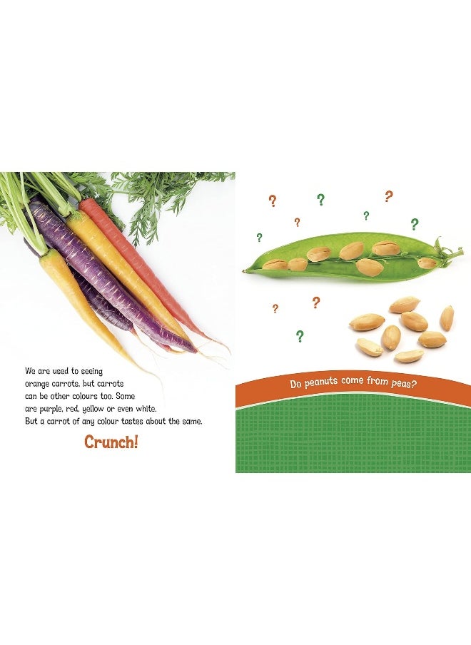 Can You Climb a Beanstalk?: Questions and Answers About Farm Crops  - Image 1
