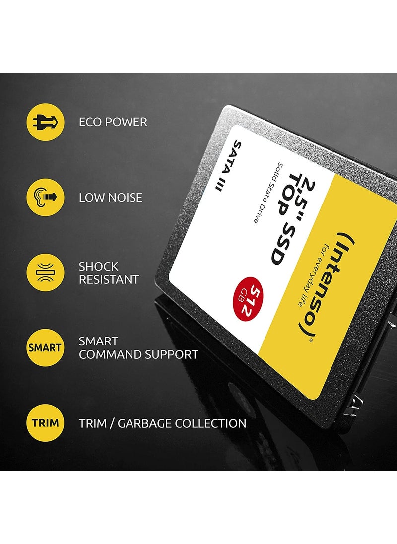 Intenso - Top 1TB 520-500MB SSD - Image 1