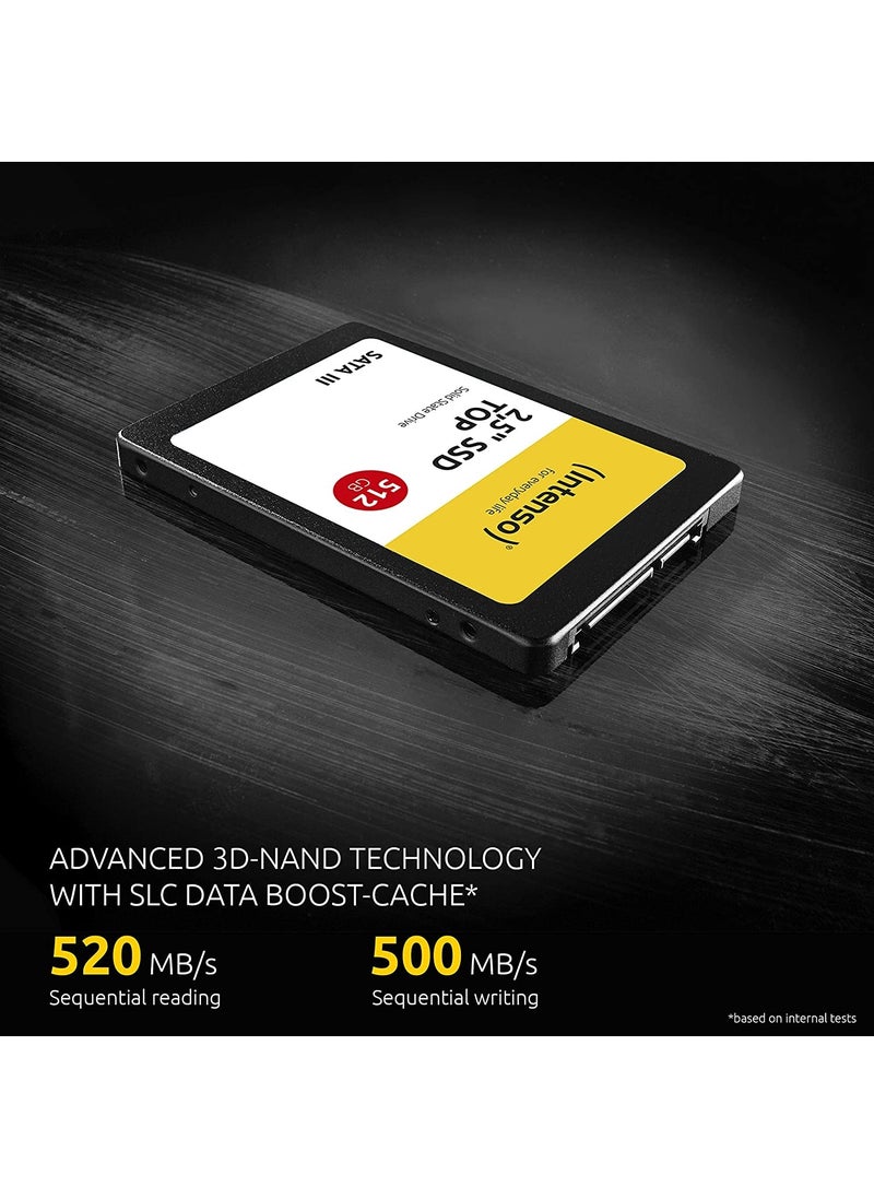 Intenso - Top 1TB 520-500MB SSD - Image 1
