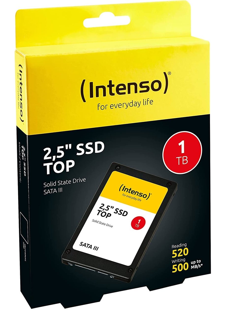Intenso - Top 1TB 520-500MB SSD - Image 1