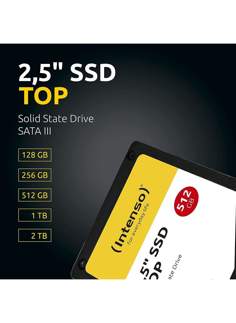 Intenso - Top 1TB 520-500MB SSD - Image 1