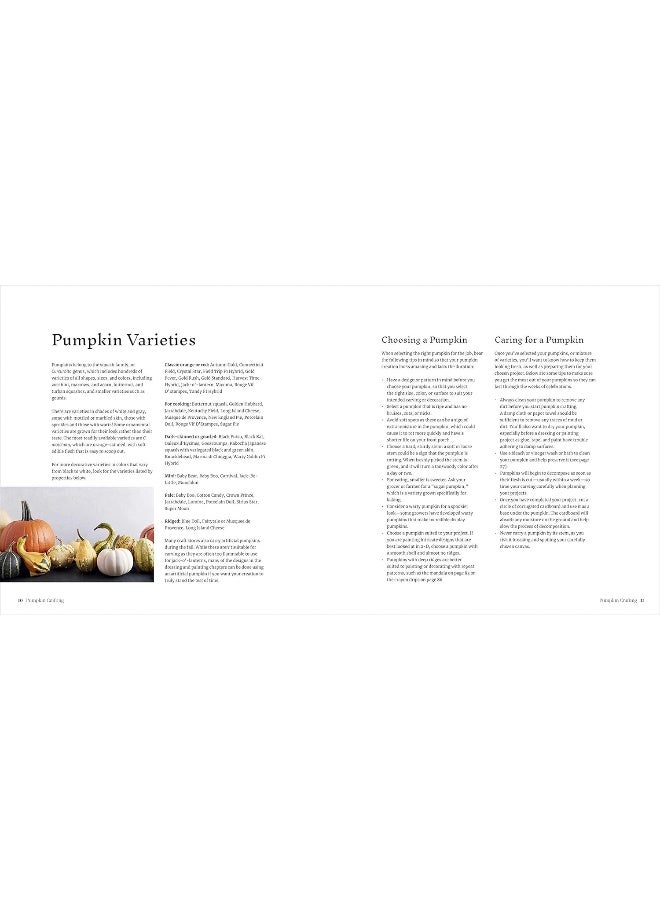 Pumpkin Crafting - Image 5