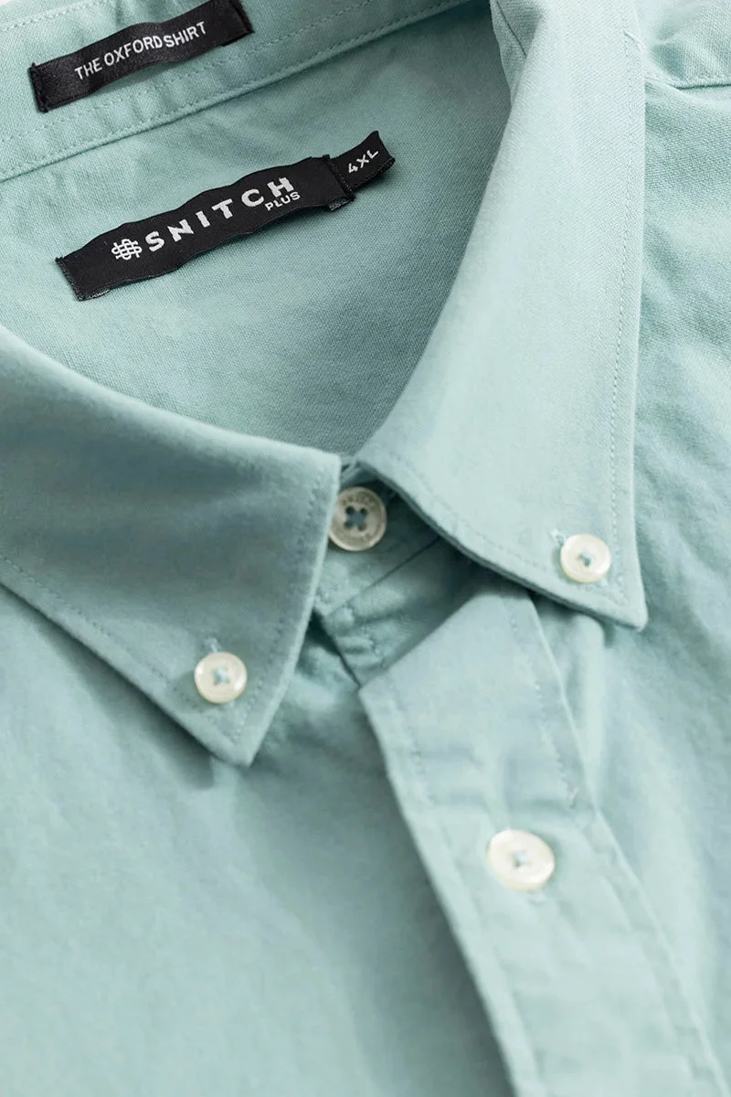 سنيتش Lucia Pastel Green Plain Plus Size Shirts