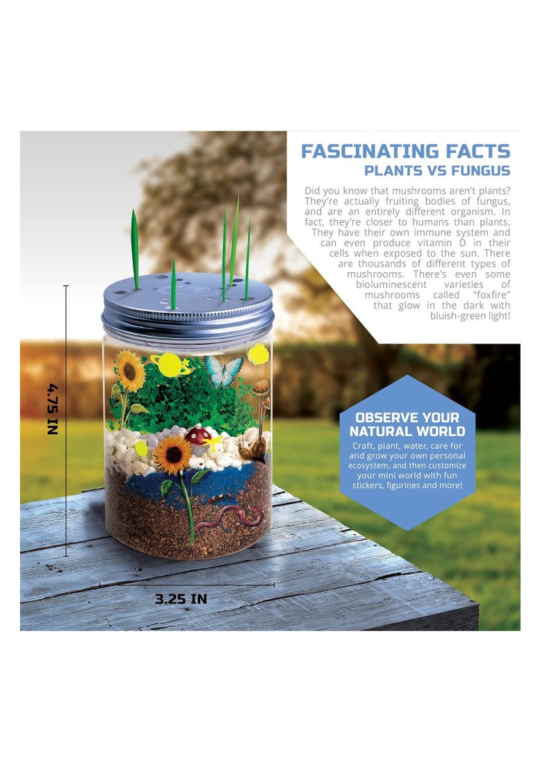 Discovery Kids - MINDBLOWN DIY Terrarium Grow Kit Fast Growing Indoor Mini Garden - Image 1